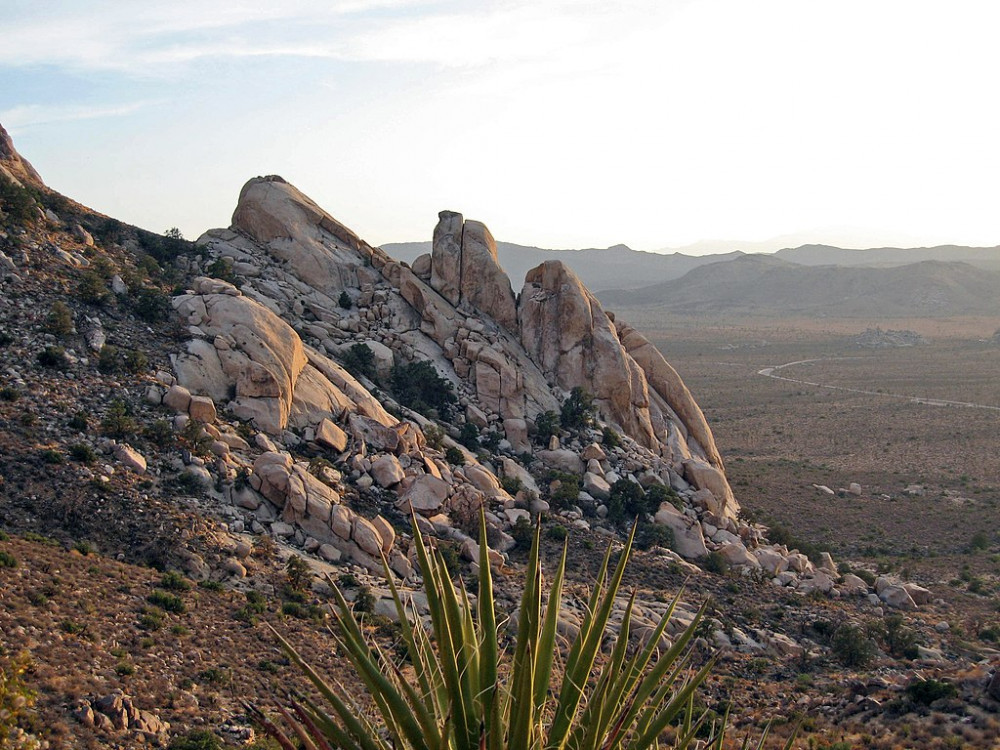 Joshua Tree National Park, Public domain, via Wikimedia Commons